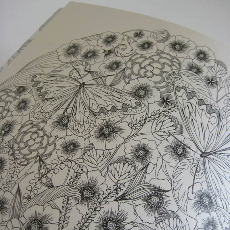 800x800 Animal Kingdom