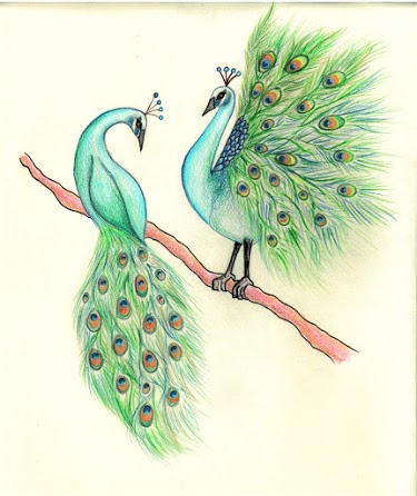 375x446 Gay Penguins And Bisexual Bonobos Sexual Diversity In The Animal