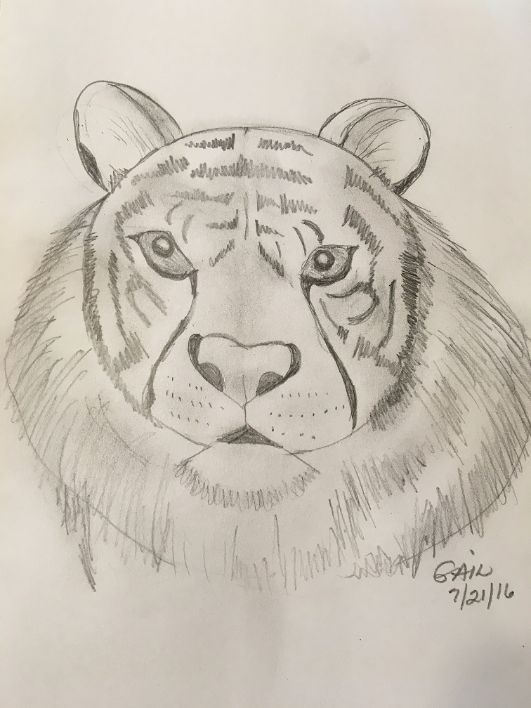 756x1008 Draw 25 Wild Animals (Even If You Don'T Know How To Draw