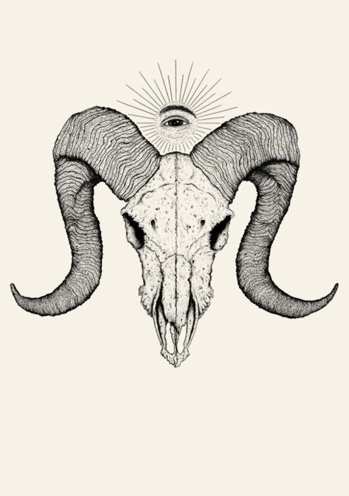 493x700 I Love Ram Skulls @ For More