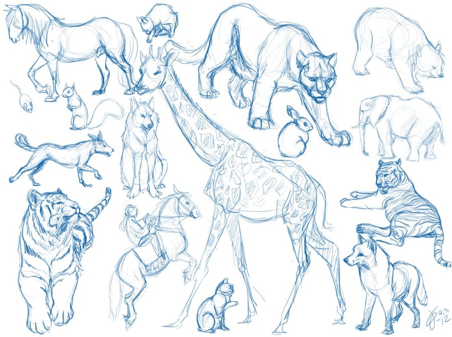 900x671 Animal Sketches By Tigerty