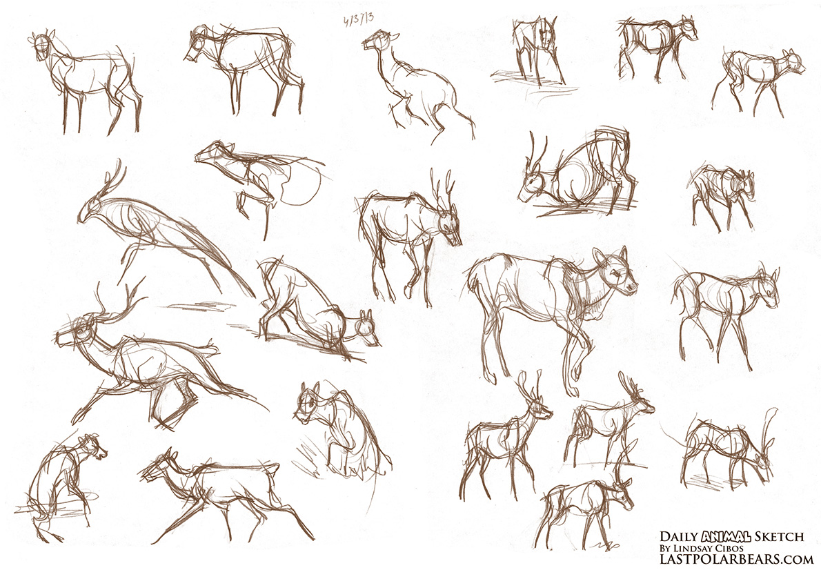1190x826 Daily Animal Sketch Caribou Last Of The Polar Bears
