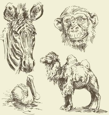 350x368 Line Wild Animal Drawings Free Vector Download (101,658 Free