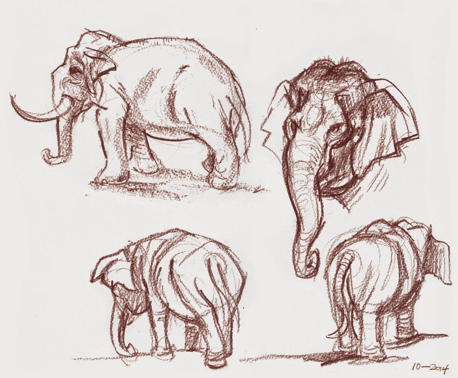 1600x1319 Works In Progress On Location Animal Drawing