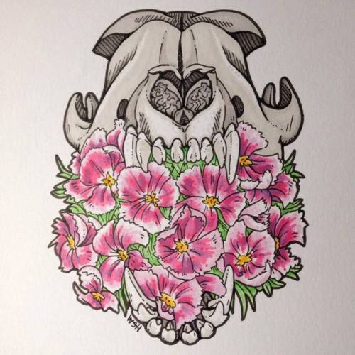 500x500 Animal Skull Drawing Tumblr