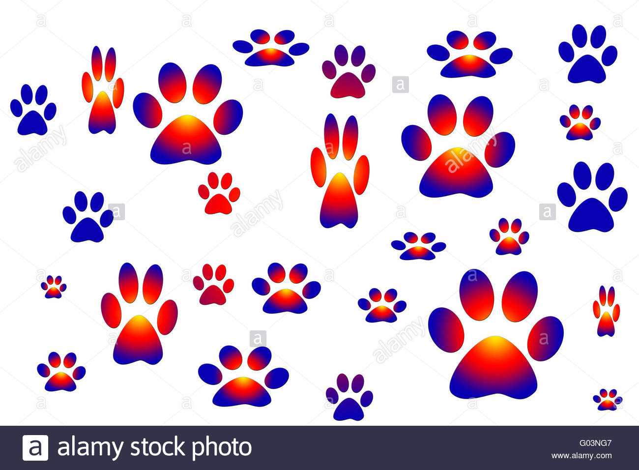 1300x956 Vector Drawing Representing Animal Tracks Stock Photo 103344983