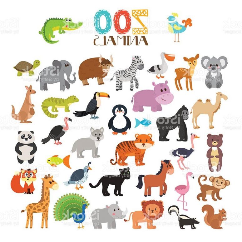 775x775 Top Zoo Animals Cartoon Set Vector Cdr Free Clip Art Designs