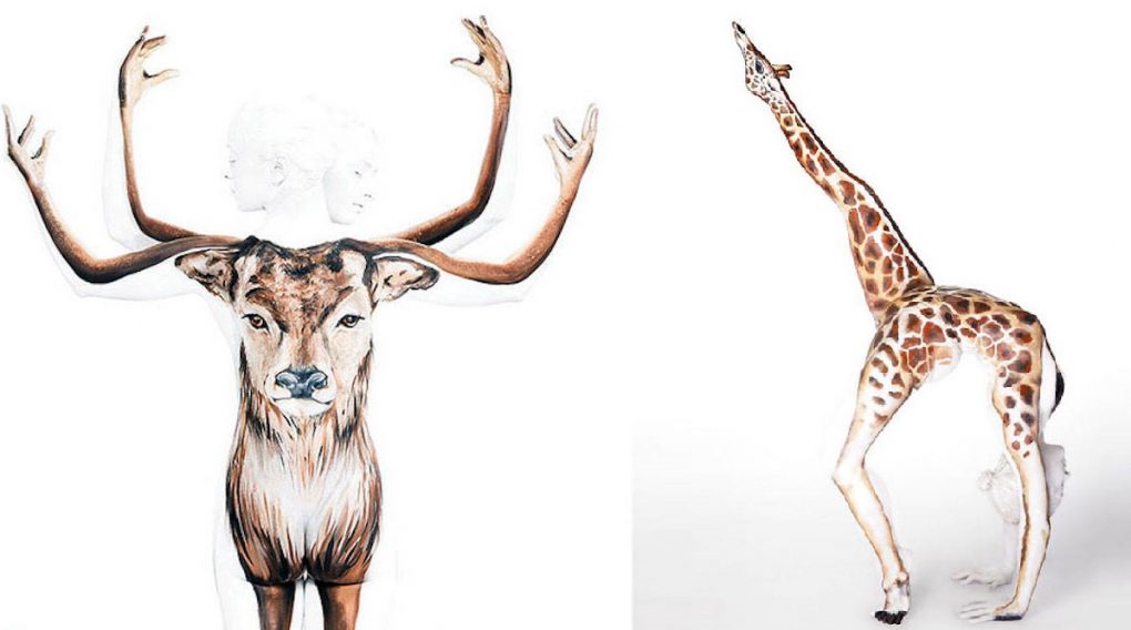 1020x568 Art Pictures ~ Animals Drawing For Colouring Easy Animal Paintings