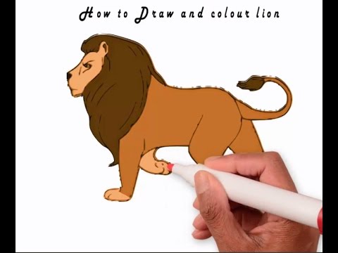480x360 How To Draw And Colour Lion 2016 Learn To Draw Lion
