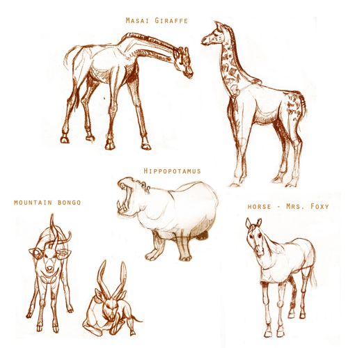 500x500 Animal Drawing Studies Large Animals Art Food And Passion