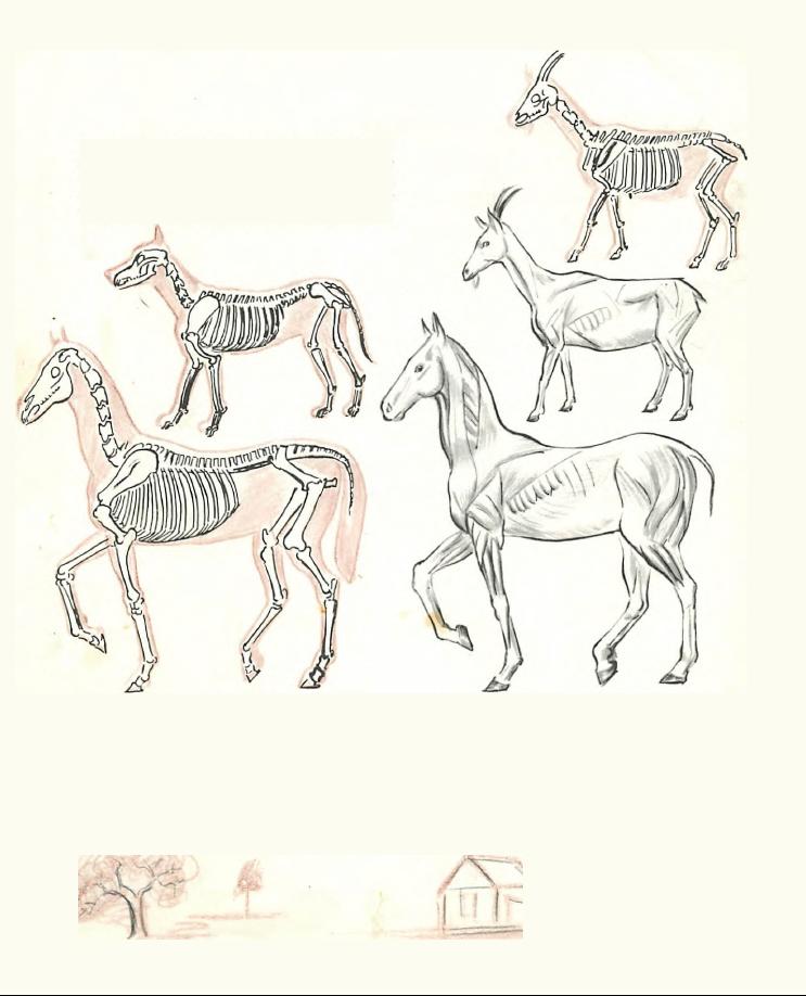 743x918 How To Draw The Human Figure Drawing Body, Head, Facial Features