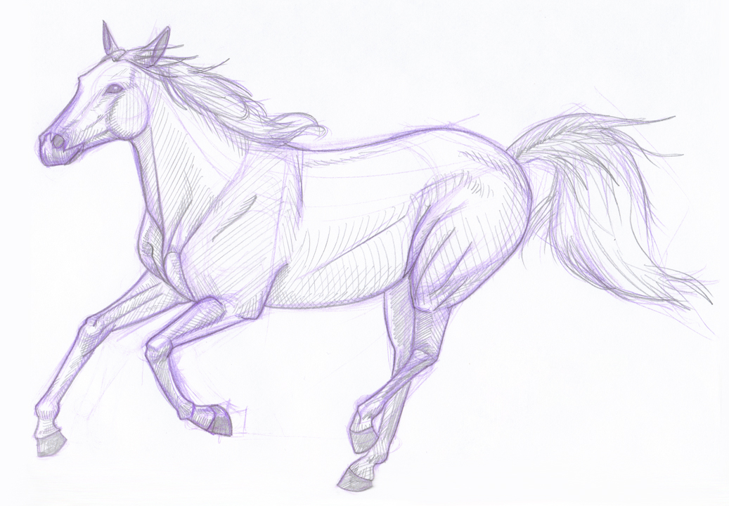 1037x720 3d Artist Amp Lighter The Back Of The Mind Animal Drawing