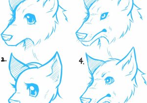 300x210 Drawings Of Anime Animals Animal Drawings Stepstep How To Draw