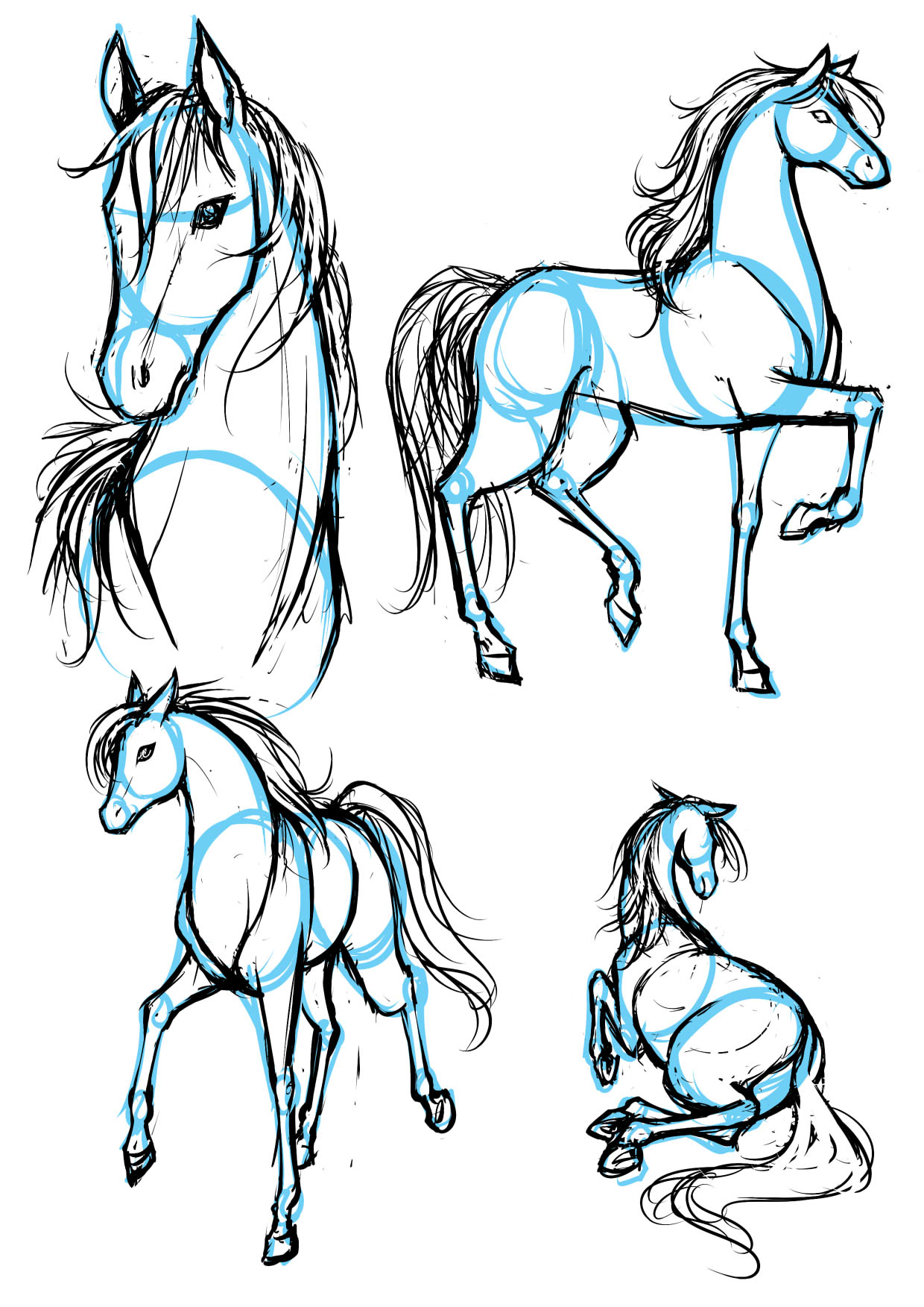 1240x1753 Love Animals Drawing