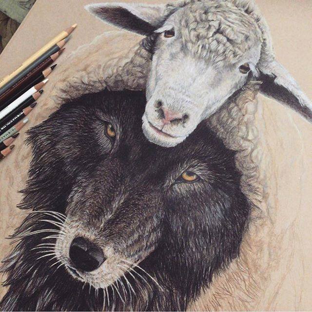 640x640 Animals Color Pencil Drawing By Lonewolf08 Image Preview Image