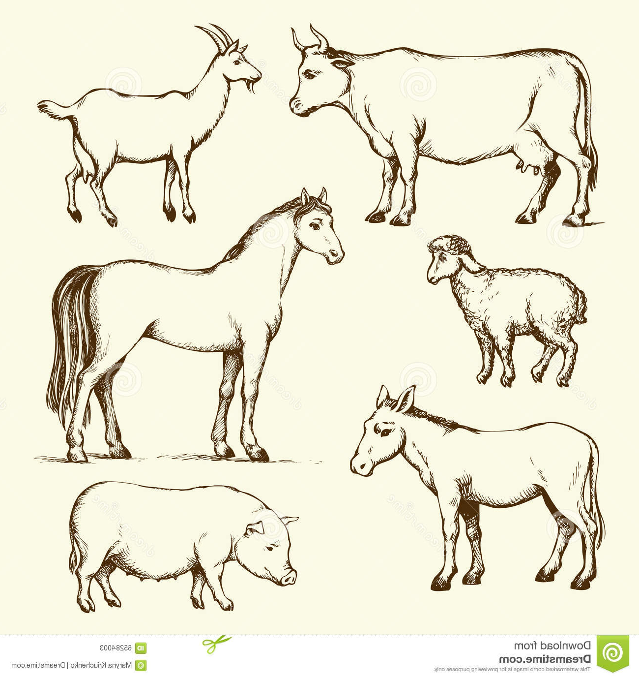 1300x1380 Farm Animal Drawing Pics Cow