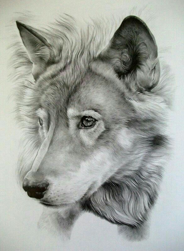 586x800 18 Best Dessins Images On Drawings, 3d Drawings