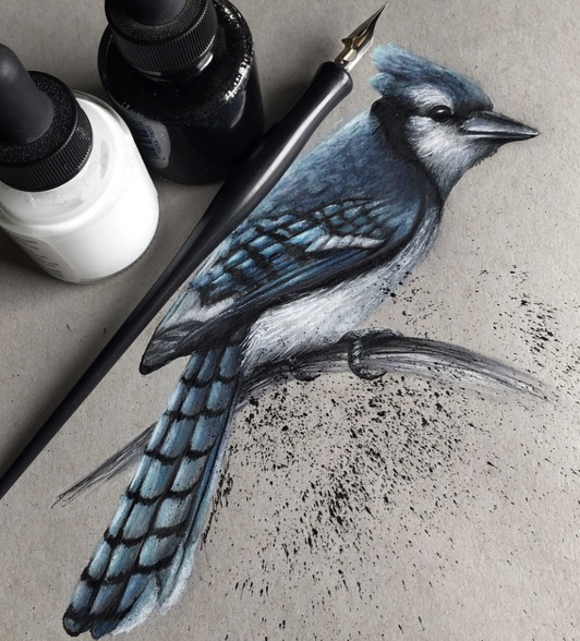 532x588 Stunning Realistic Pencil Drawing Of Animals By Jonathan Martinez