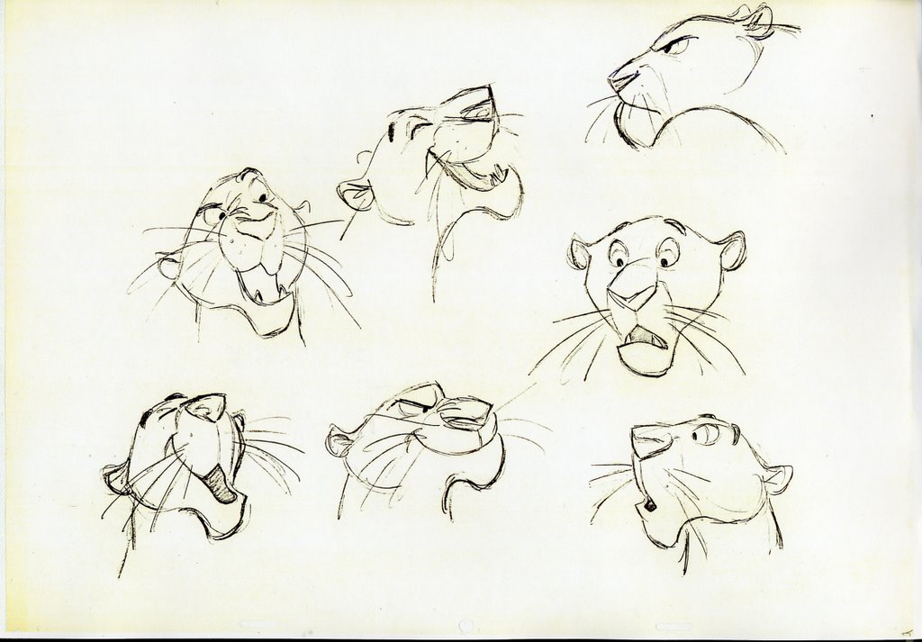 1024x713 Nuova Avventura Animate How To Make Drawing Animation