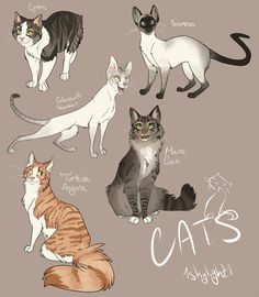 236x270 Catdrawing 9 1 Fur Tips On How Cats' Whiskers Should Be Depending