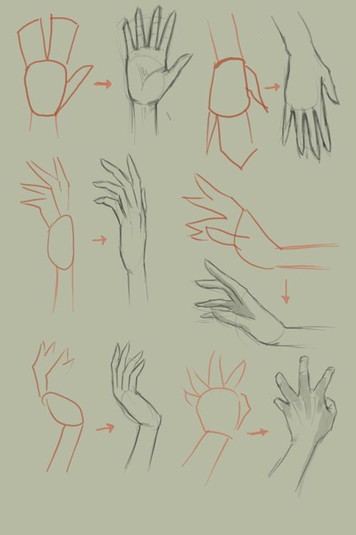500x750 How To Draw Hands. An Art Tutorial Basic Drawing, Drawings
