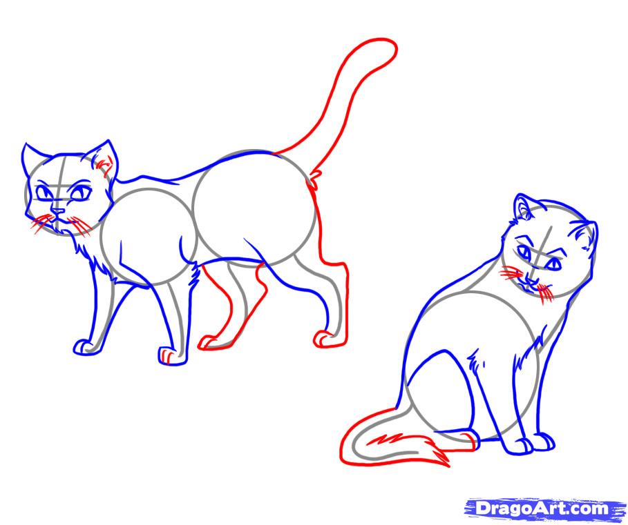 909x761 Draw Anime Cat Back Paws