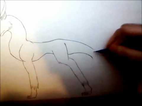 480x360 How To Draw An Anime Like Dragon