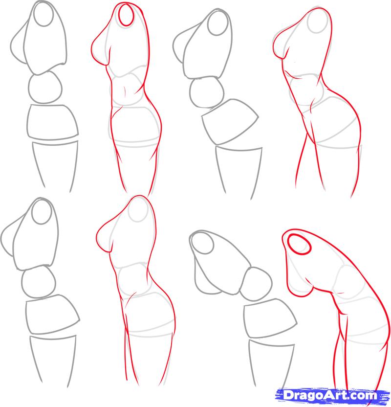 800x832 Gallery How To Draw Bodies Step By Step,