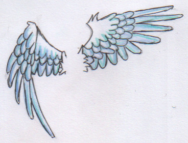 368x281 Wings Sketch By Kiki7o7