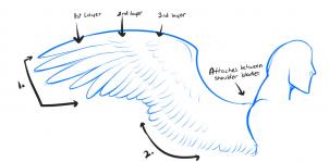 302x149 How To Draw Anime Wings, Draw An Anime Angel Step 1 My Drawing