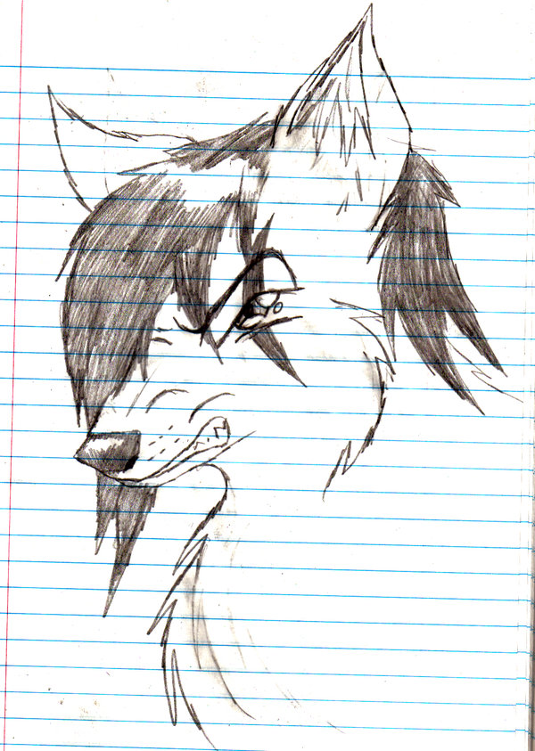 Anime Wolf Drawing at GetDrawings | Free download