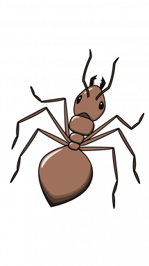 215x382 How To Draw An Ant, Forest, Animals, Easy Step By Step Drawing