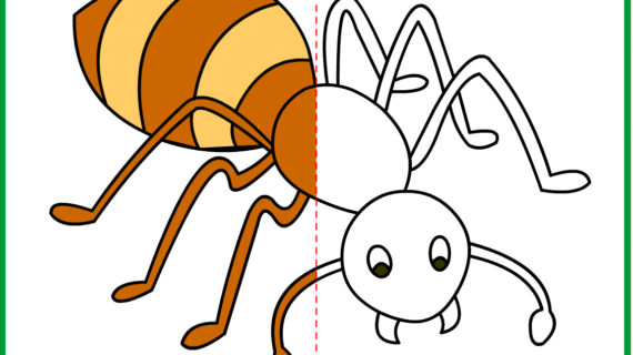 570x320 Ant Drawing For Kids Online Drawings For Kids To Paint 50 About
