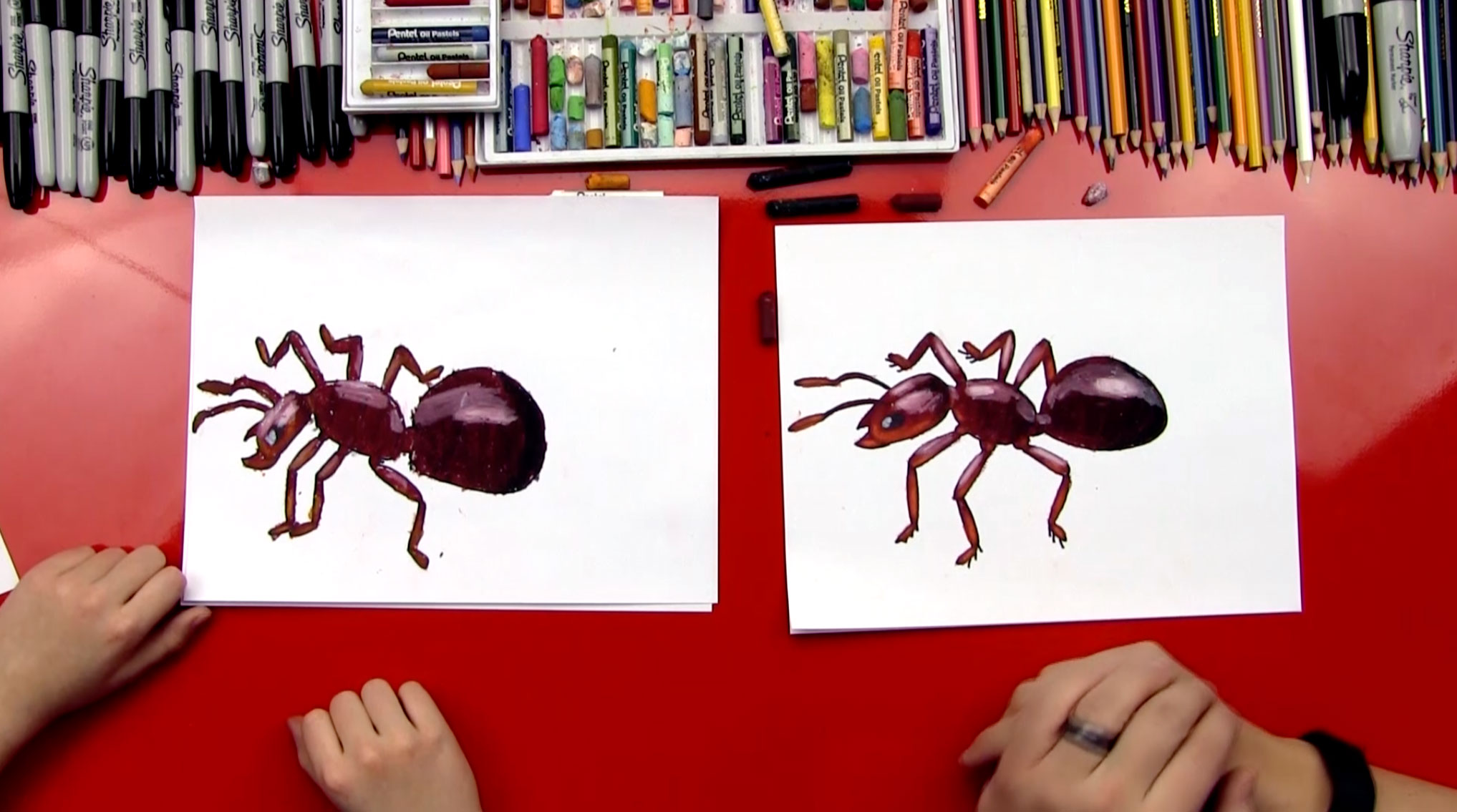 2035x1135 How To Draw An Ant