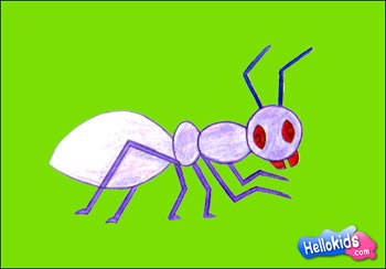 350x244 How To Draw Ant