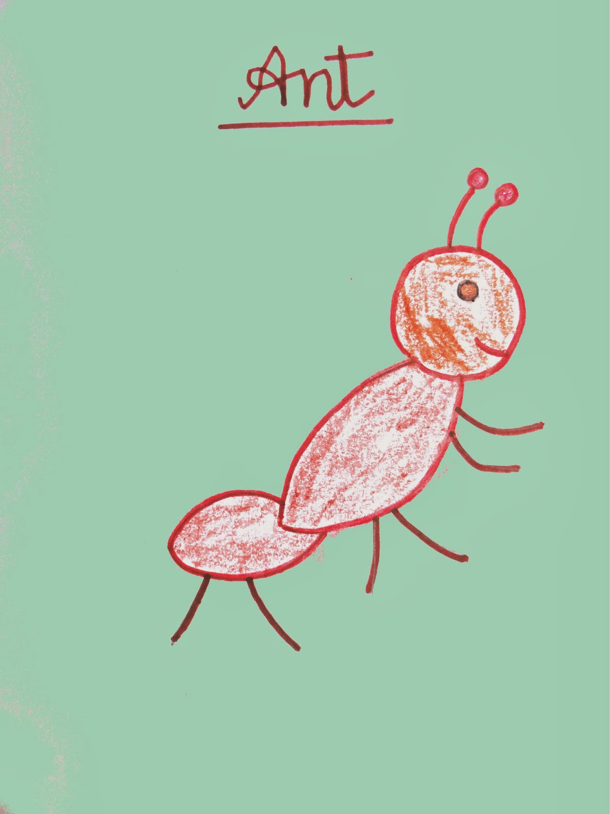 1200x1600 New Ant Images For Kids Drawing