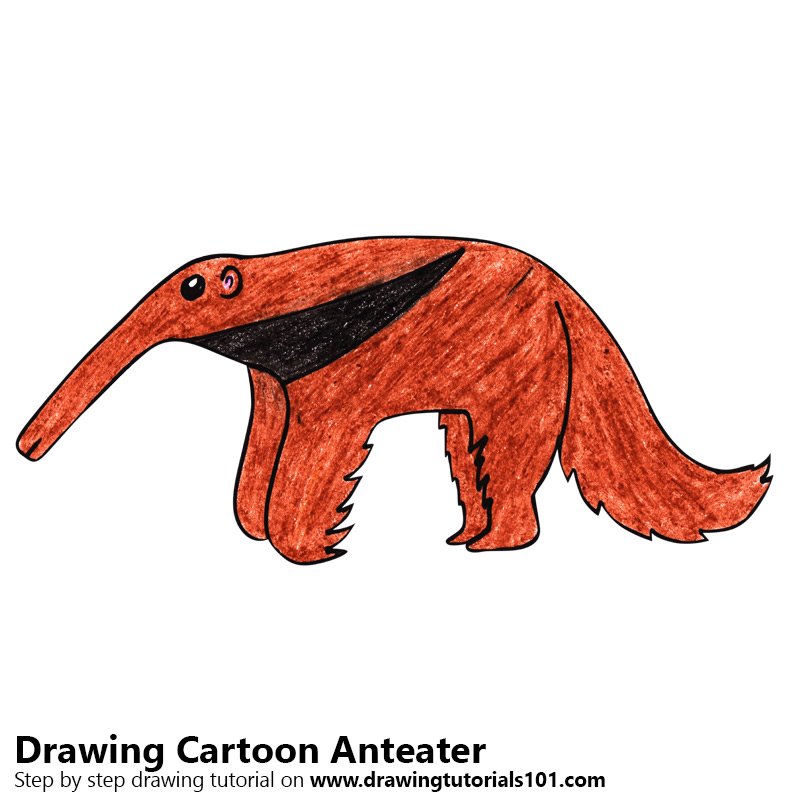 800x800 Learn How To Draw A Cartoon Anteater (Cartoon Animals) Step By