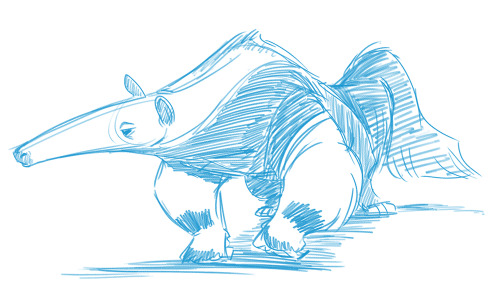 500x300 Anteater Doodles Tumblr