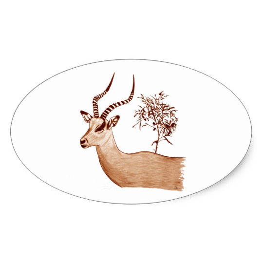 540x540 Impala Antelope Animal Wildlife Drawing Sketch Oval Sticker