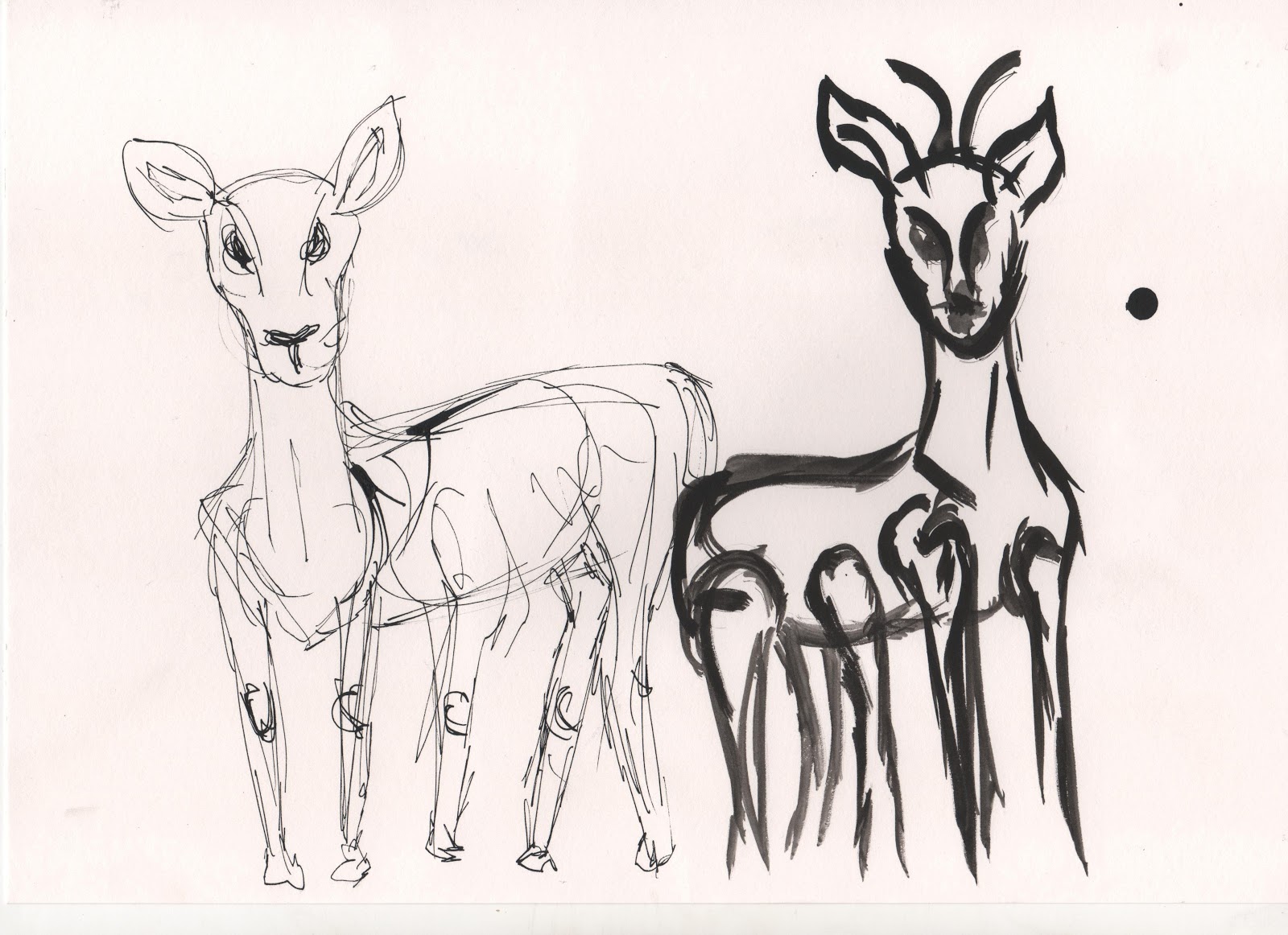 1600x1162 Paige Nicole Antelope Line Drawings