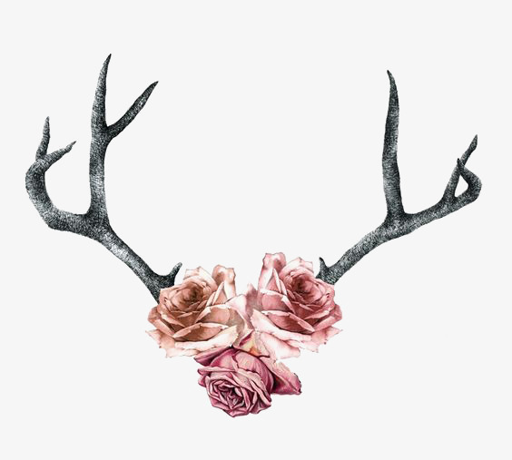564x507 Drawing Antlers, Elkhorn, Fawn, Watercolor Flowers Png Image