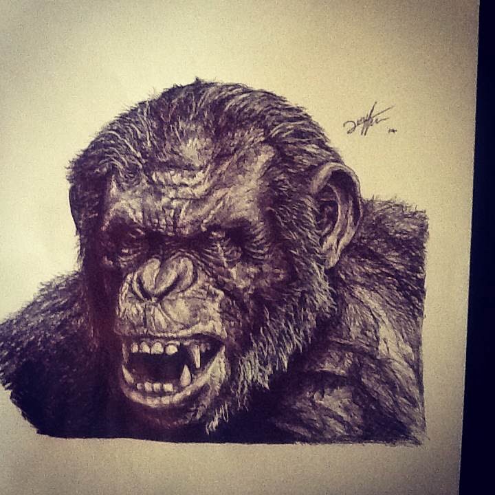 720x720 Lhudsonart Koba Biro Drawing (Dawn Of The Planet Of The Apes