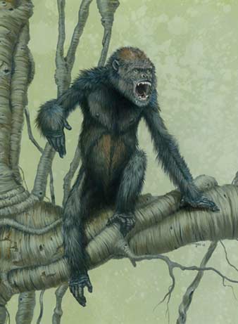 338x461 Picture Gallery New Great Ape Ancestor