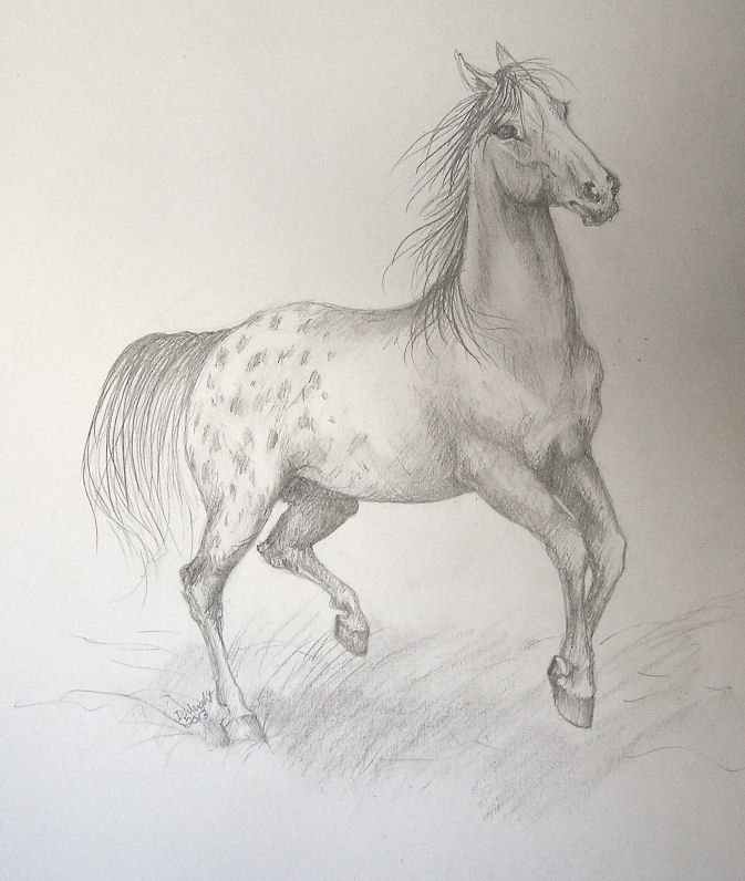 673x796 Diane L. Wright