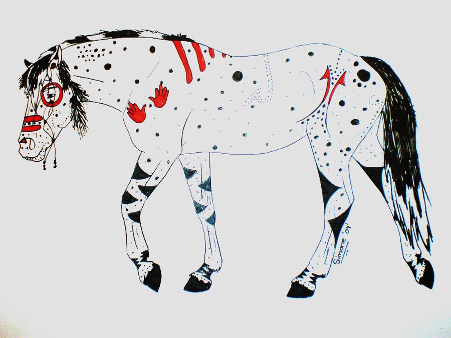 Download Appaloosa Horse Drawing at GetDrawings.com | Free for ...