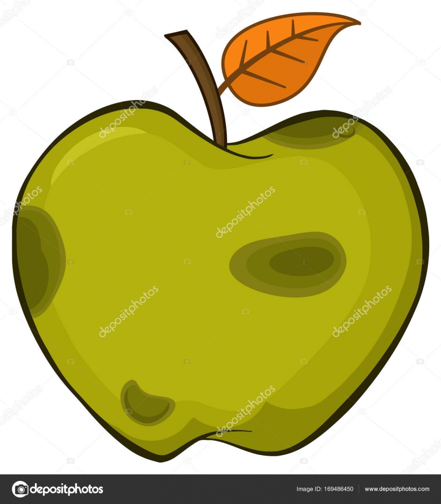 897x1024 Rotten Green Apple Stock Vector Hittoon