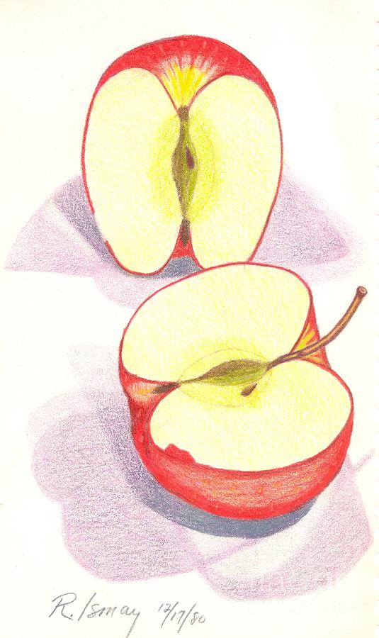 535x900 Cut Apple Drawing By Rod Ismay