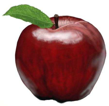 450x441 How To Draw An Apple