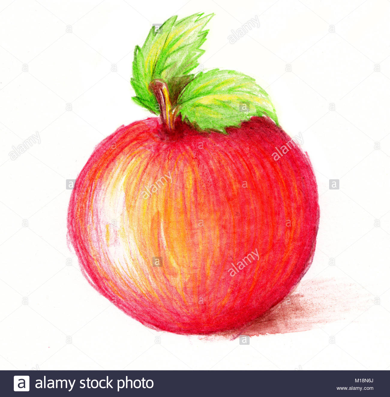 1300x1324 Drawing Of Apple. Watercolor And Pencil Art. Bright Colors, Over