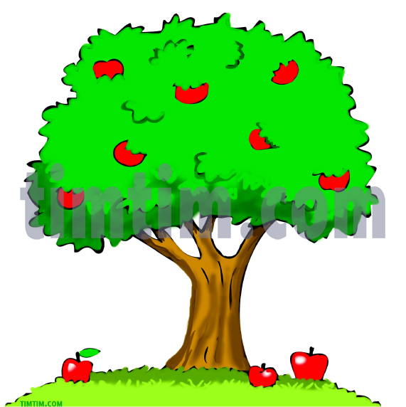 571x572 Free Drawing Of An Apple Tree From The Category Climate Amp Nature